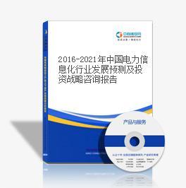 2015-2020年中國電力信息化行業(yè)預(yù)測及投資戰(zhàn)略咨詢報(bào)告